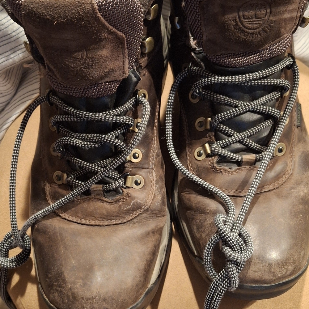 Timberland Dark Brown Men's Boots